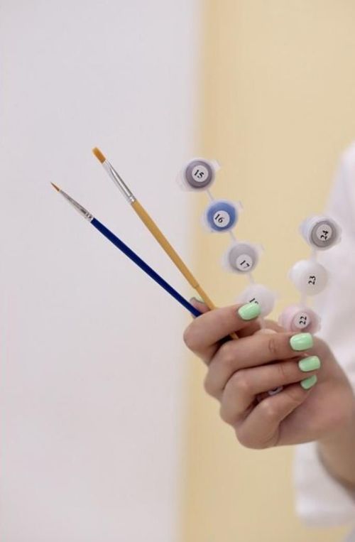 cumpără Tablou pe numere BrushMe BS52241FC (fără cutie) Bufniță înțeleaptă în culori de curcubeu în Chișinău 