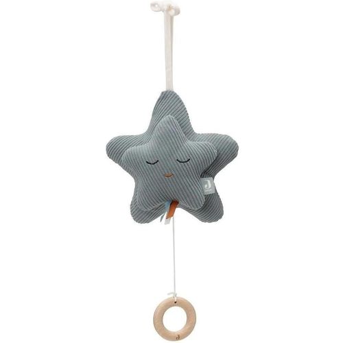 купить Игрушка-подвеска Jollein 043-001-68087 Star Sea Green (muzicala) в Кишинёве 