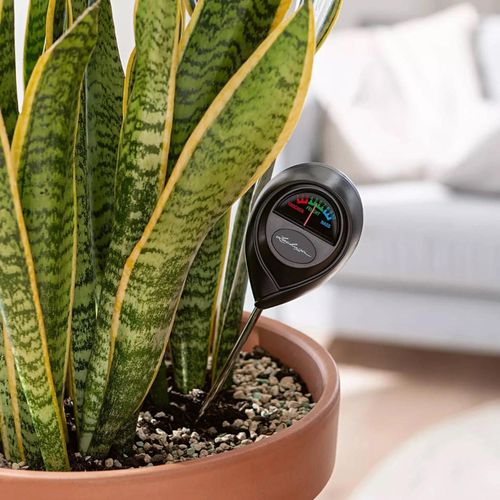 cumpără Accesoriu pentru casă Lechuza Moisture meter în Chișinău 