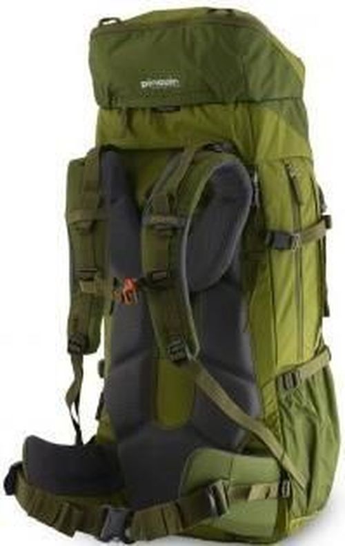 купить Рюкзак спортивный Pinguin Activent 55 Nylon green в Кишинёве 