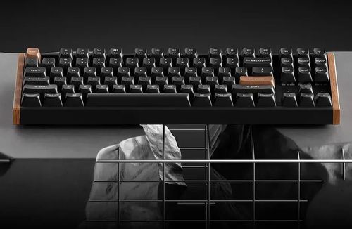 купить Клавиатура Keychron K8 HE QMK Wireless Magnetic Switch Custom Keyboard (K8H-F1) в Кишинёве 