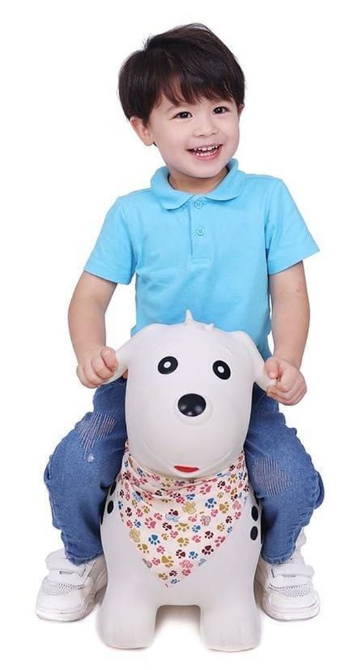 cumpără Premergător bo. 8011ML Игрушка Jumping Animal - Dalmatian în Chișinău 