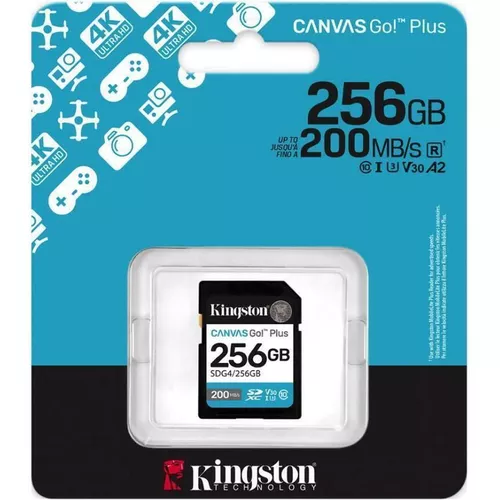 cumpără Card de memorie flash Kingston SDG4/256GB în Chișinău 