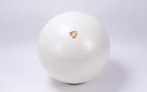 купить Мяч LivePro LP9005/65/WH Exercise Ball 65cm в Кишинёве 