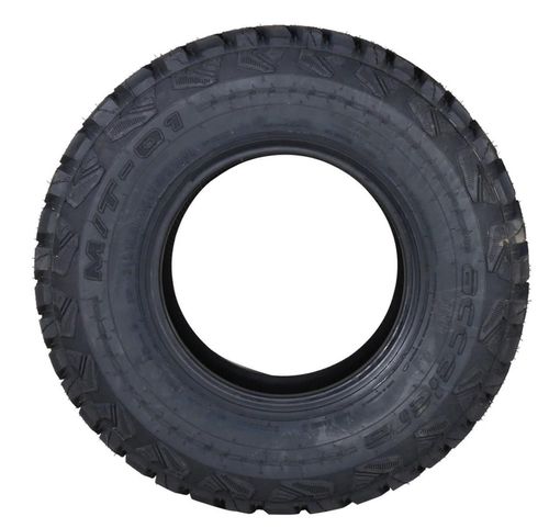 купить Шина Accelera 165/80 R13 94/93Q MT-01 m+s в Кишинёве 