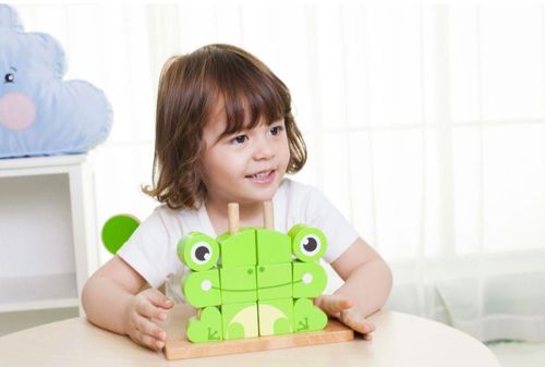 cumpără Jucărie Classic World 5107 кубики лягушка în Chișinău 