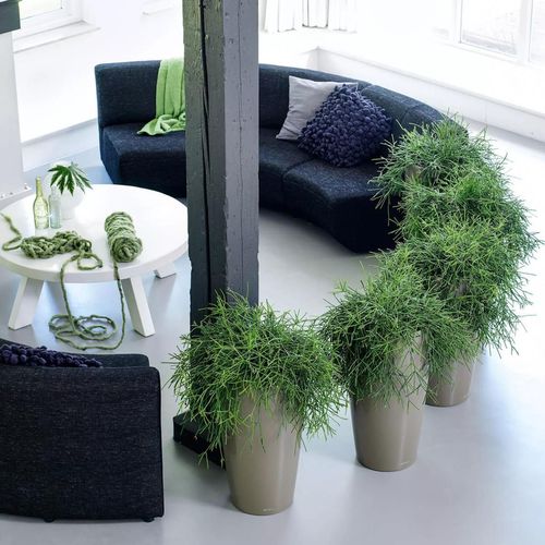 купить Цветочный горшок Lechuza Rondo Premium 40, Charcoal в Кишинёве 