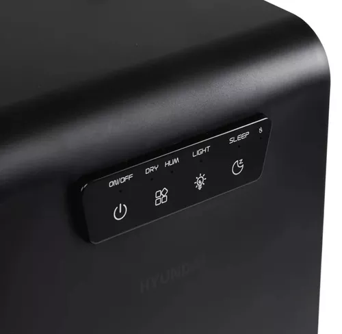 cumpără Dezumidificator de aer Hyundai HDSH002UA în Chișinău 