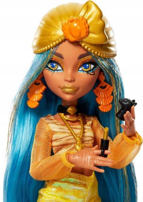 купить Кукла Mattel HNF76 Monster High в Кишинёве 