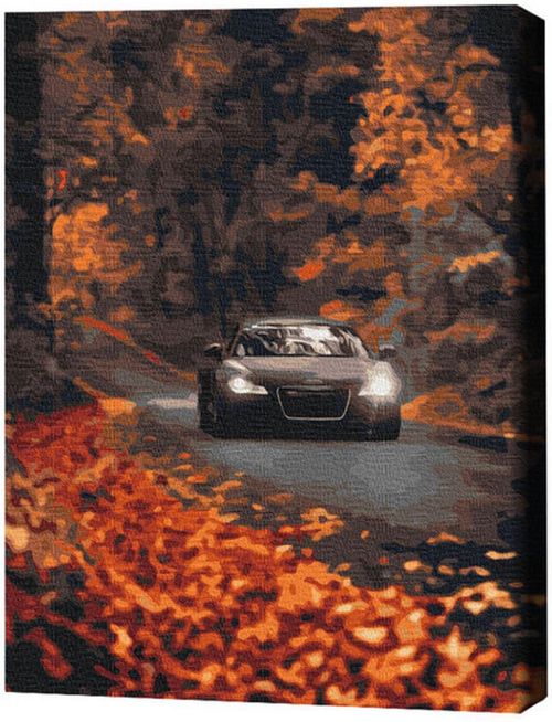 купить Картина по номерам BrushMe BS53291 40x50 cm (în cutie) Drum de toamnă в Кишинёве 