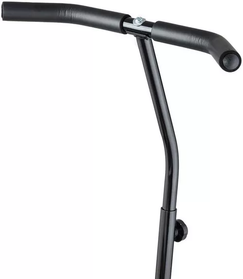 cumpără Trambulină inSPORTline 4242 fitness+maner d=114 cm Cordy 14401-1 pink în Chișinău 