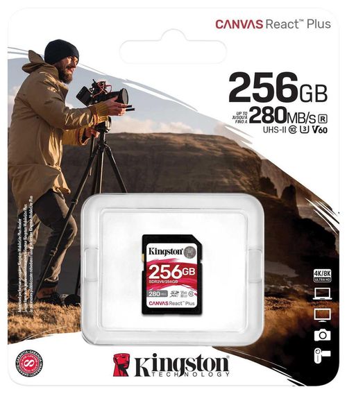 купить Флеш карта памяти SD Kingston SDR2V6/256GB в Кишинёве 