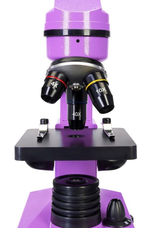 купить Микроскоп Levenhuk Rainbow 2l Amethyst в Кишинёве 
