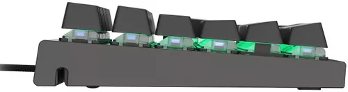 cumpără Tastatură Genesis NKG-0947/Thor 300 în Chișinău 