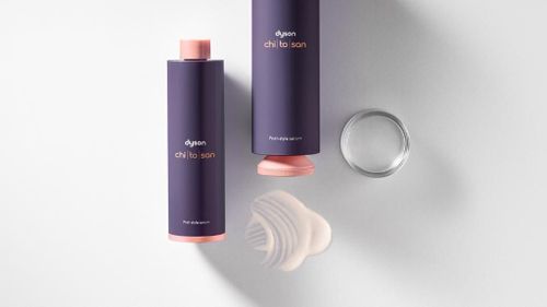 купить Аксессуар для фена Dyson HF 06 Dyson Chitosan Ser post-coafură в Кишинёве 