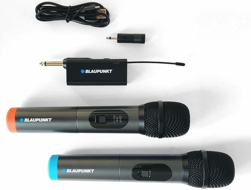 купить Микрофон Blaupunkt WM40U в Кишинёве 
