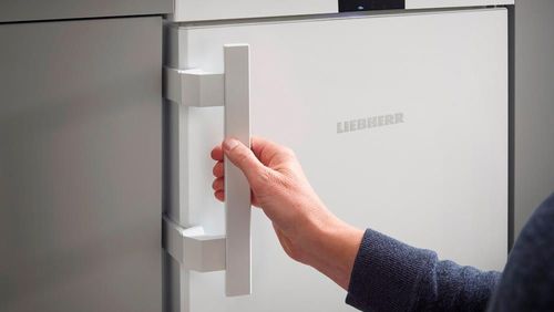 купить Холодильник однодверный Liebherr Rsdci 1620 в Кишинёве 