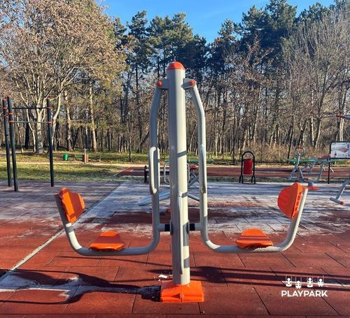 купить Уличный тренажер PlayPark B-24 в Кишинёве 