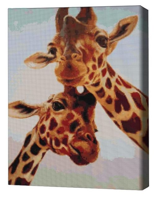 cumpără Tablou pe numere BrushMe DBS1223FC Mozaic cu diamante 40x50сm (fără cutie) Suflete pereche, Lucia Heffernan în Chișinău 