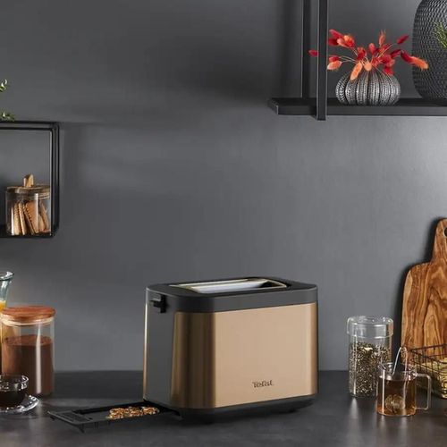 купить Тостер Tefal TT430G10 в Кишинёве 