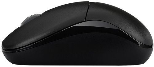 cumpără Mouse Rapoo 1090p Pro Entry Level 3 Key în Chișinău 
