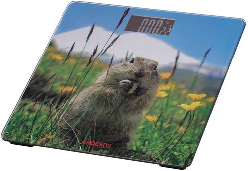 купить Весы напольные Ardesto SCB-965MARMOT в Кишинёве 