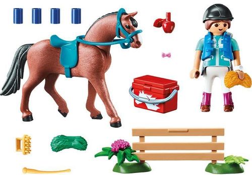 купить Конструктор Playmobil PM70294 Horse Farm Gift Set в Кишинёве 