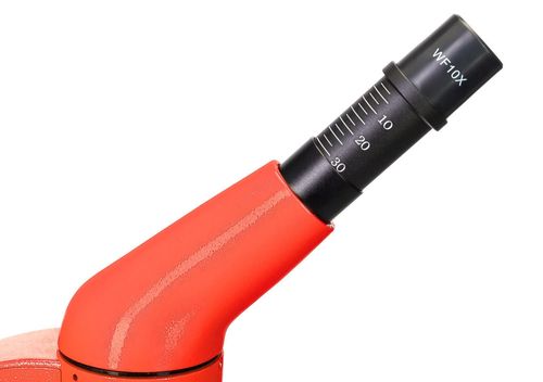 купить Микроскоп Levenhuk Rainbow 50L Orange в Кишинёве 