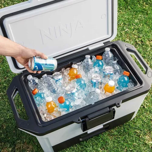 cumpără Geantă frigorifică NINJA FB151EUGY în Chișinău 