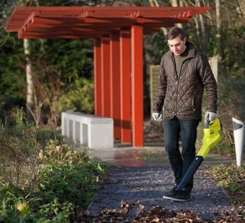 купить Воздуходувка RYOBI OBL1820H 5133002340 в Кишинёве 