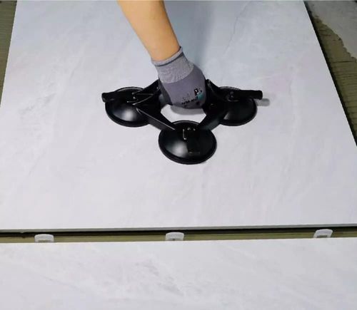 купить Присоска вакуумная Bihui SCTB4 присоска алюминевая тройная 125мм 110kg в Кишинёве 