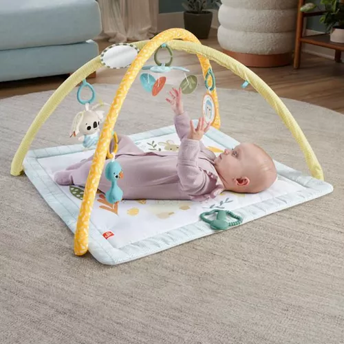 cumpără Complex de joacă pentru copii Fisher Price HRB15 Детский коврик для активного отдыха с 6 сенсорными игрушками în Chișinău 
