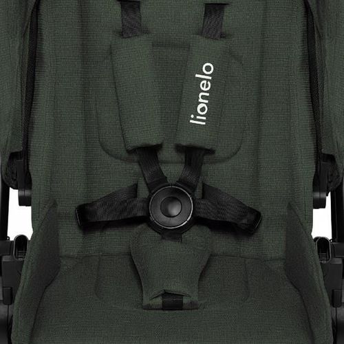 купить Детская коляска Lionelo Mika 2in1 Green Forest в Кишинёве 