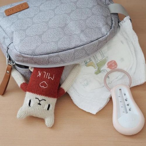 купить Несессер/косметичка Beaba B940282 Geanta de toaleta Tiny Clouds в Кишинёве 