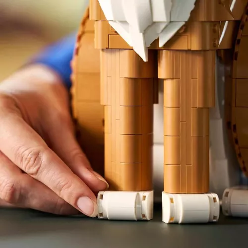 купить Конструктор Lego 21376 Ideas Motan portocaliu, 21376 в Кишинёве 