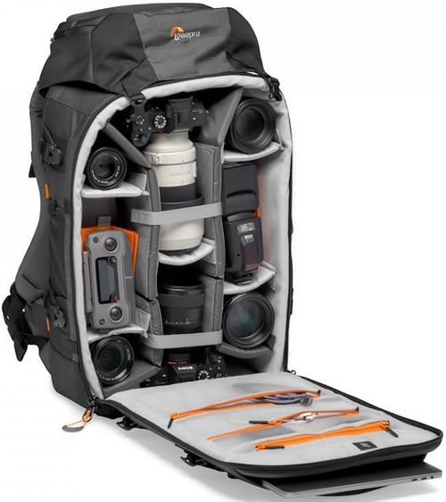 купить Сумка для фото-видео Lowepro Pro Trekker BP 550 AW II-Grey в Кишинёве 
