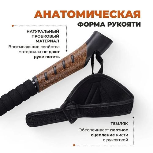 cumpără Bețe pentru trekking miscellaneous Team Jaunty 6-3JNS Black în Chișinău 