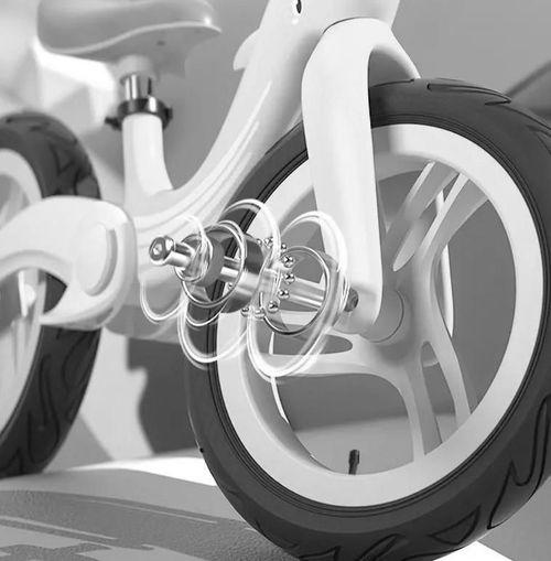 cumpără Bicicletă 4Play Dolphin Black-White în Chișinău 