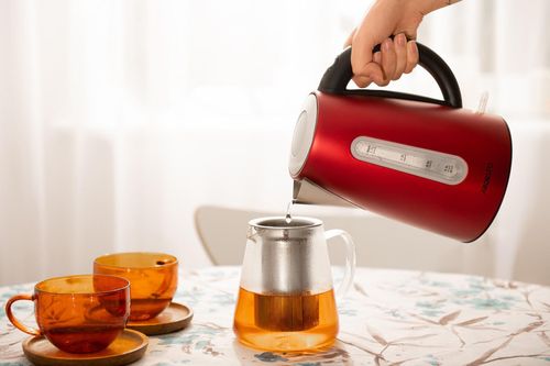 купить Чайник электрический Ardesto EKL-F300R в Кишинёве 