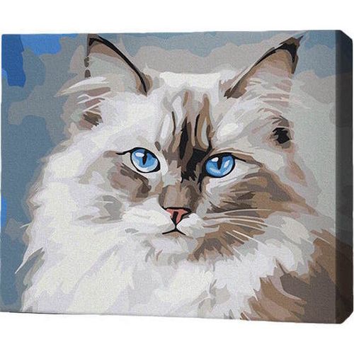 купить Картина по номерам BrushMe RMG0001FC 30x40 см (без коробки) Бирманская кошка в Кишинёве 