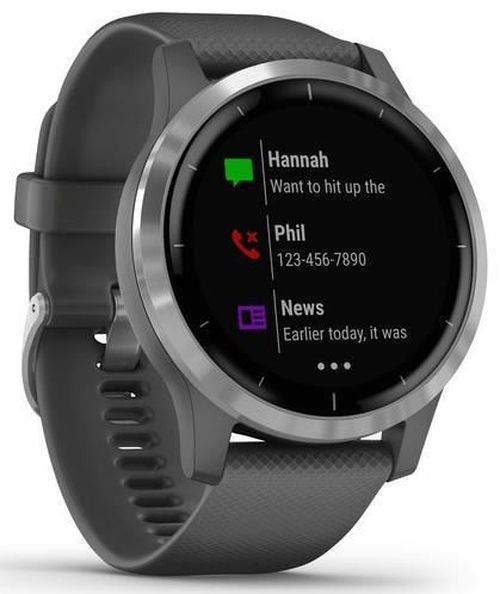 cumpără Fitness-tracker Garmin vivoactive 4 Shadow Gray/Silver, S.EU în Chișinău 