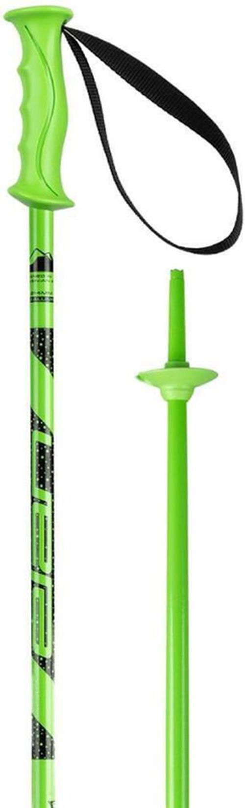 cumpără Bețe de schi Elan Rock Rod JR green 095 (CD813121) în Chișinău 