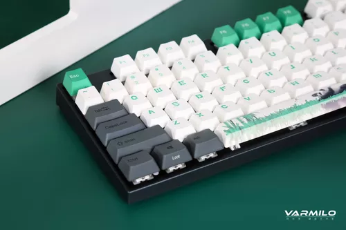 купить Клавиатура Varmilo VEA87 Panda R2 Cherry Mx Red Multicolor (Eng/Rus) в Кишинёве 
