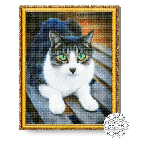 купить Картина по номерам Art Gallery GA82908 Mozaic cu diamante 40x50cm Pisica cu ochi verzi в Кишинёве 
