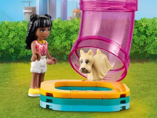 cumpără Set de construcție Lego 41718 Pet Day-Care Center în Chișinău 