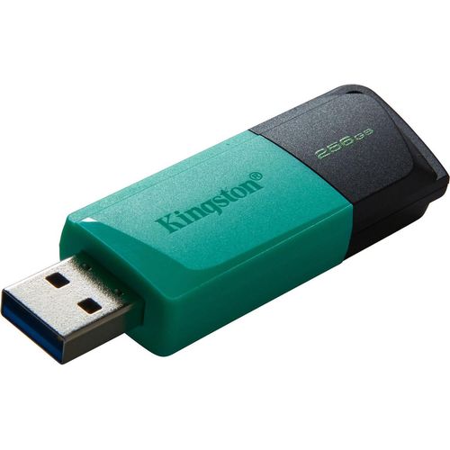 купить Флеш память USB Kingston DTXM/256GB в Кишинёве 