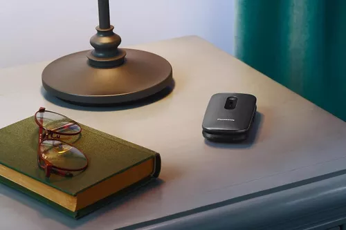 купить Телефон мобильный Panasonic KX-TU446EXG в Кишинёве 