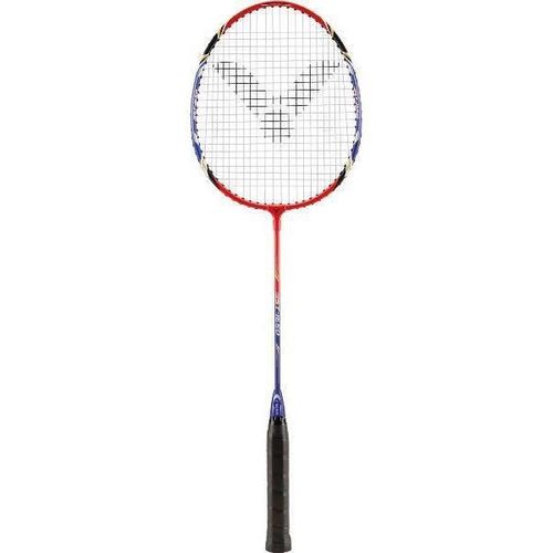 купить Спортивное оборудование miscellaneous 9454 Paleta badminton Victor 110100 ST-1650 steel в Кишинёве 