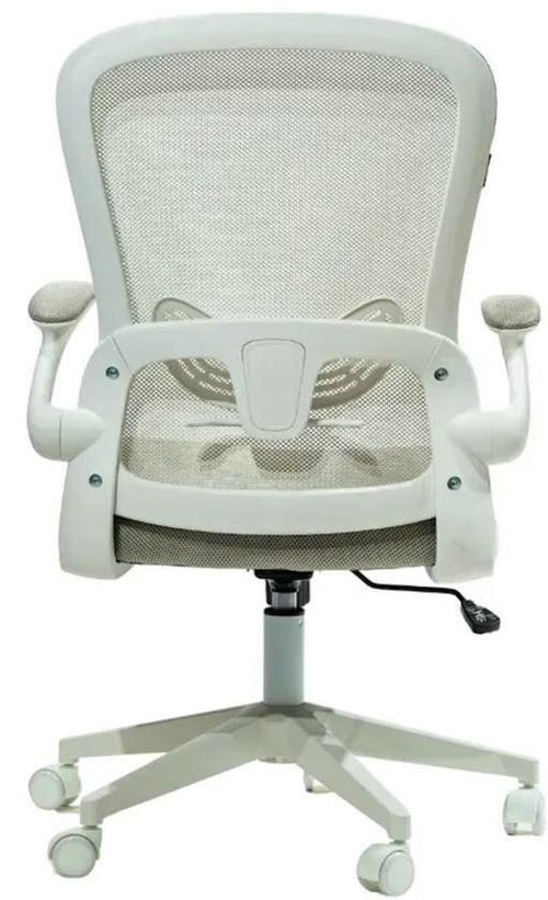 cumpără Fotoliu de birou YING trading RIVER Y-820 în Chișinău 