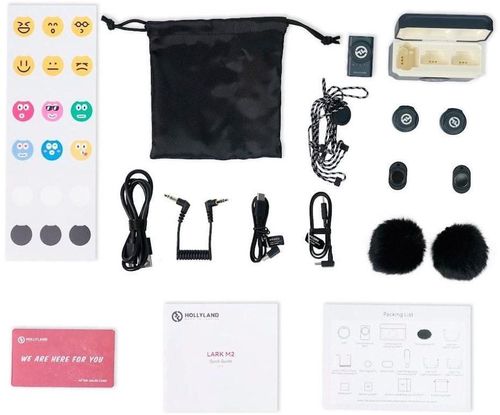 купить Микрофон Hollyland Lark M2 Camera (Duo,Shine Charcoal) в Кишинёве 